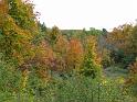 05102008 153245IMG1861